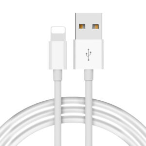 Classic Lighting USB Cable